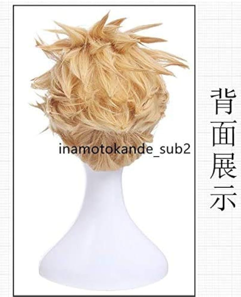 Fate/stay night ギルガメッシュ 風 ウィッグ コスプレ Fate/stay night ギルガメッシュ 風 ウィッグ 【カラー変更可